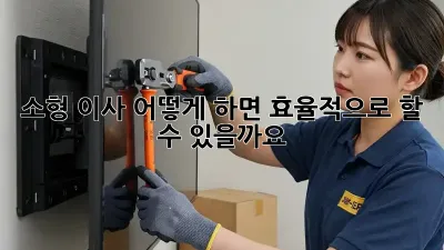 소형 이사, 어떻게 하면 효율적으로 할 수 있을까요?